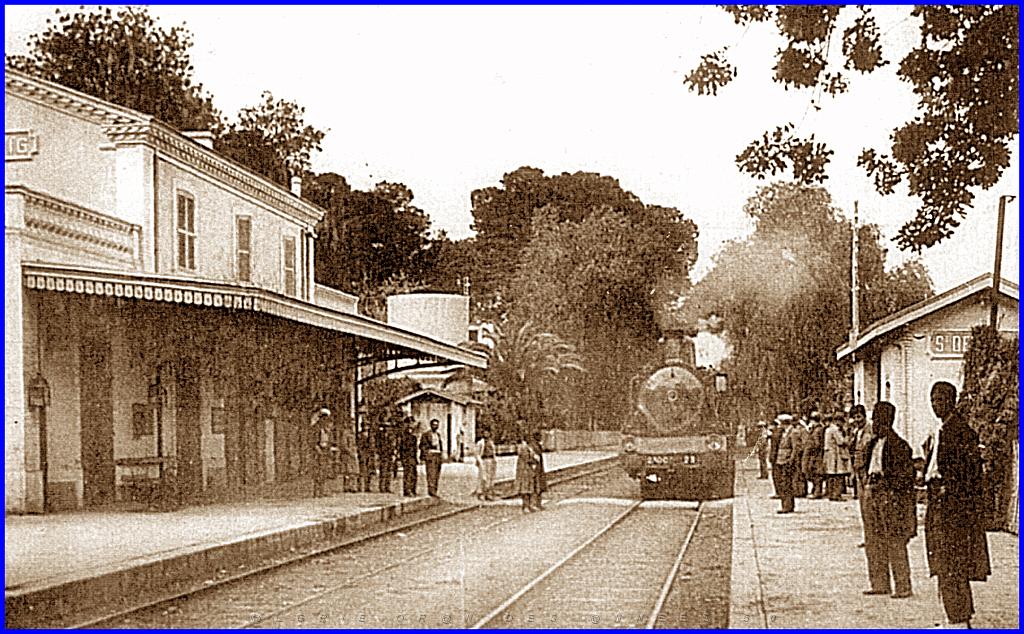 12-GARE DU SIG.jpg